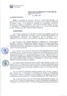 Vista preliminar de documento RG-393-2017