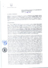 Vista preliminar de documento RG-110-2018