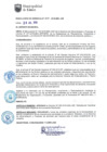 Vista preliminar de documento RG-319-2018