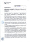 Vista preliminar de documento RG-488-2019