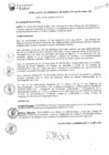 Vista preliminar de documento RG-195-2013