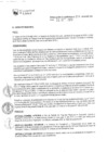 Vista preliminar de documento RG-217-2019