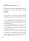 Vista preliminar de documento RG-068-2020