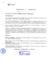 Vista preliminar de documento 0217626001365715878