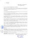 Vista preliminar de documento 0087168001409672689