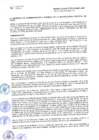Vista preliminar de documento RAF-012-2015