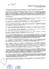 Vista preliminar de documento RAF-030-2015