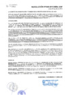 Vista preliminar de documento RAF-046-2015
