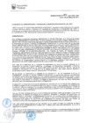Vista preliminar de documento RAF-006-2017