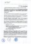 Vista preliminar de documento RAF-018-2017