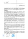 Vista preliminar de documento RAF-021-2017