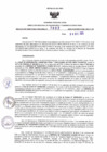 Vista preliminar de documento RDR N°863-2025-04-12-2025
