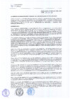 Vista preliminar de documento RAF-029-2017