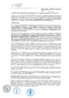 Vista preliminar de documento RAF-041-2017