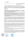 Vista preliminar de documento RAF-045-2017
