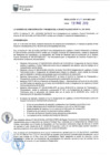 Vista preliminar de documento RAF-009-2019