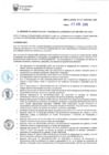 Vista preliminar de documento RAF-014-2019