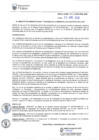 Vista preliminar de documento RAF-023-2019