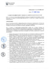 Vista preliminar de documento RAF-027-2019
