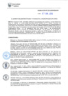 Vista preliminar de documento RAF-030-2019