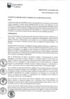 Vista preliminar de documento RAF-070-2019