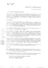 Vista preliminar de documento RAF-005-2020