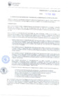 Vista preliminar de documento RAF-010-2020