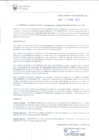 Vista preliminar de documento RAF-018-2020