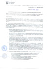 Vista preliminar de documento RAF-017-2020