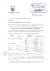 Vista preliminar de documento 0030704001295536029
