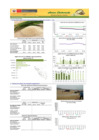 Vista preliminar de documento Boletín de ARROZ - 26/06/20