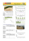 Vista preliminar de documento Boletín de ARROZ - 30/06/20