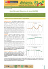Vista preliminar de documento Boletín de Abastecimiento y Precios Mayoristas GMML y MM Nº2 -26/06/20