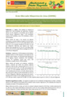 Vista preliminar de documento Boletín de Abastecimiento y Precios Mayoristas GMML y MM Nº2 -30/06/20