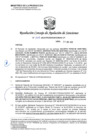 Vista preliminar de documento RCONAS-206-2020-PRODUCE-CONAS-CP