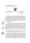Vista preliminar de documento R.d. 333-2016-MINAGRI-PSI