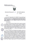 Vista preliminar de documento R.d. 381-2017-MINAGRI-PSI
