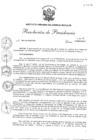 Vista preliminar de documento res_pres_062_19