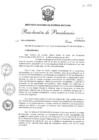 Vista preliminar de documento res_pres_064_19