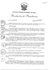 Vista preliminar de documento res_pres_251_19