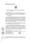 Vista preliminar de documento R.d. 343-2018-MINAGRI-PSI