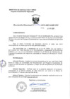 Vista preliminar de documento R.d. 174-2019-MINAGRI-PSI