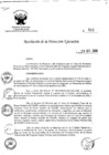 Vista preliminar de documento 515