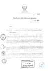 Vista preliminar de documento rde_208