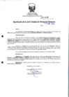 Vista preliminar de documento rde_005