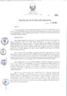Vista preliminar de documento rde_065