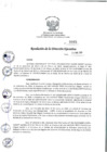 Vista preliminar de documento rde_085