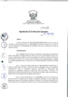 Vista preliminar de documento RDE_137