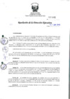 Vista preliminar de documento RDE_141