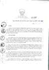 Vista preliminar de documento RDE_207